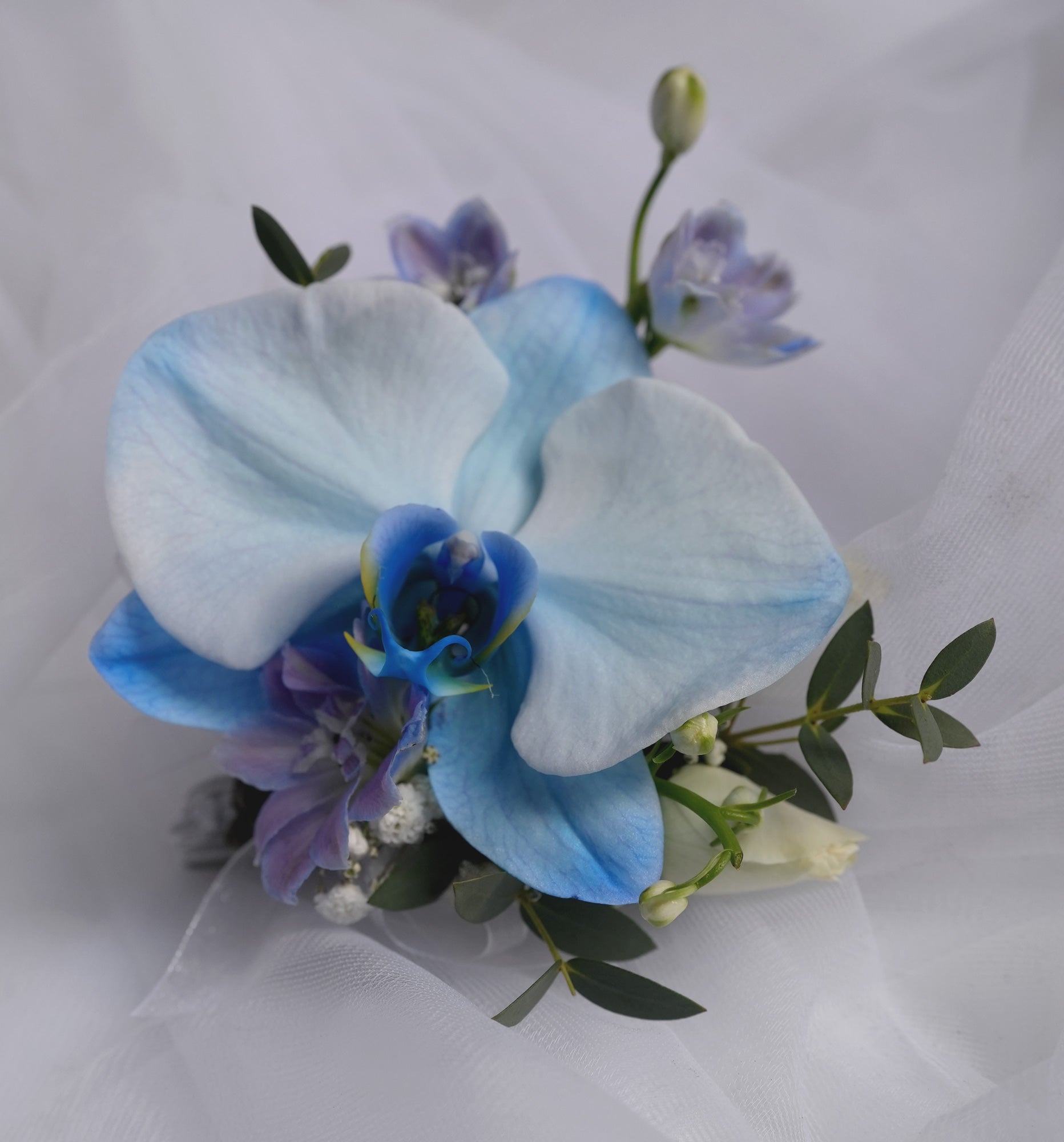 Azure Orchid Boutonniere & Corsage