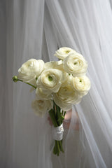 White Satin Ranunculus