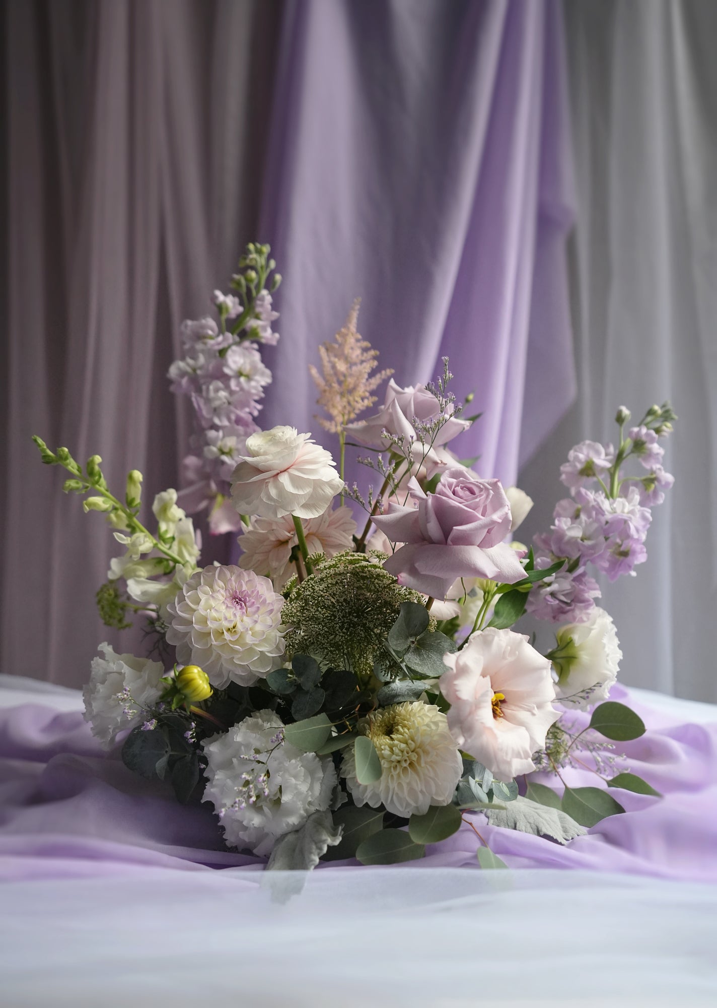 Lavender Field Notes