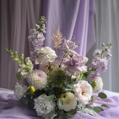 Lavender Field Notes