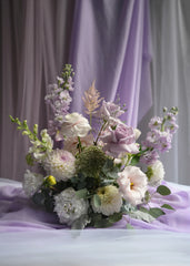 Lavender Field Notes