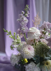 Lavender Field Notes