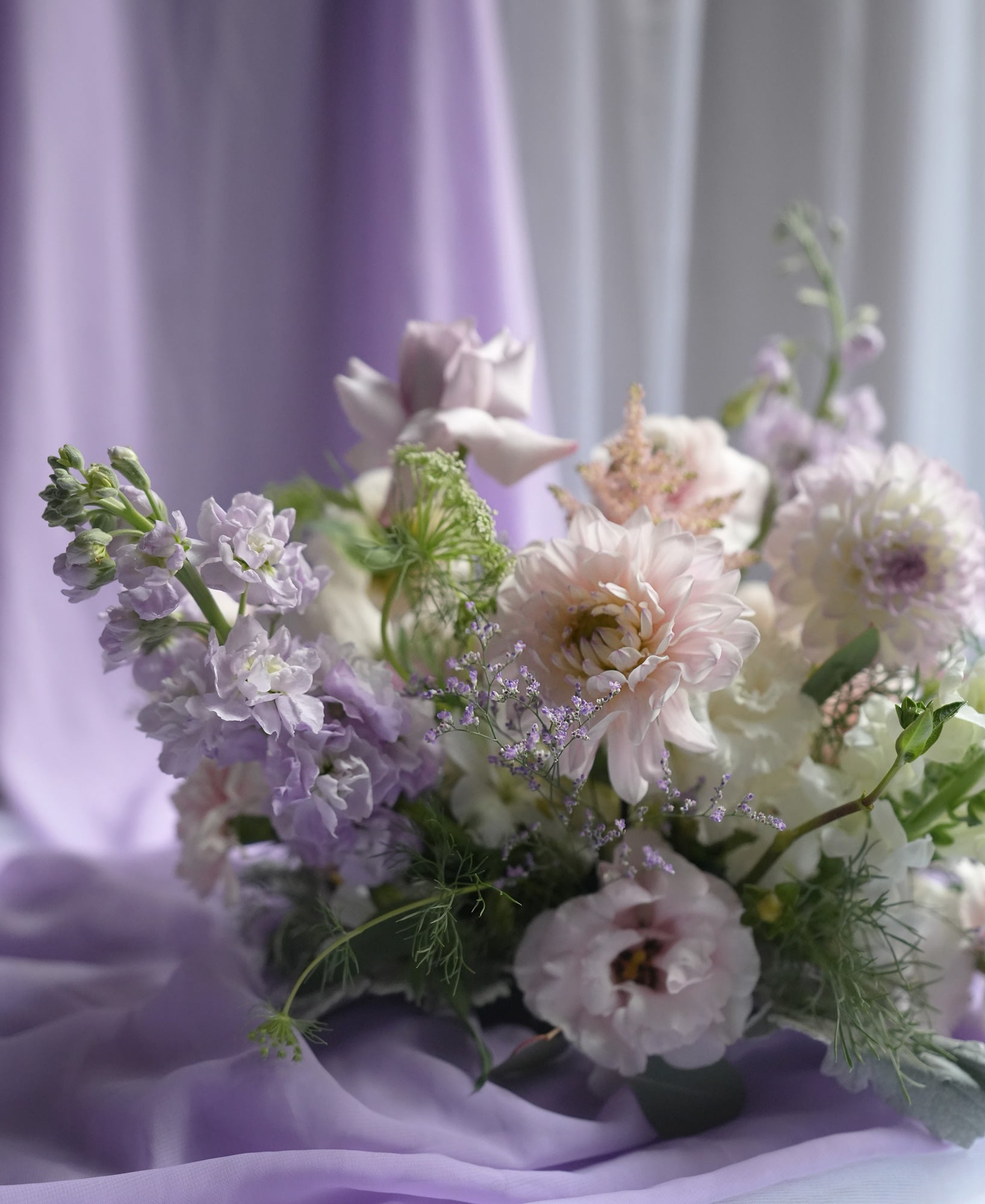 Lavender Field Notes