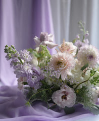 Lavender Field Notes