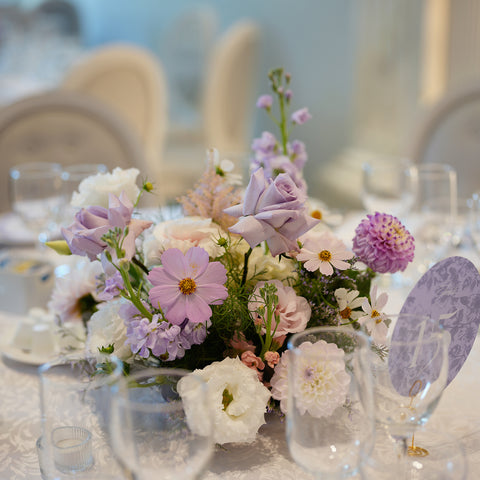 Lavender Field Notes