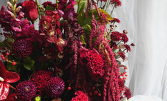 Whispers in Burgundy