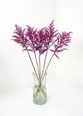 Aster Solidago (Died color)