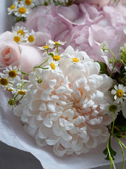 Blush Spring