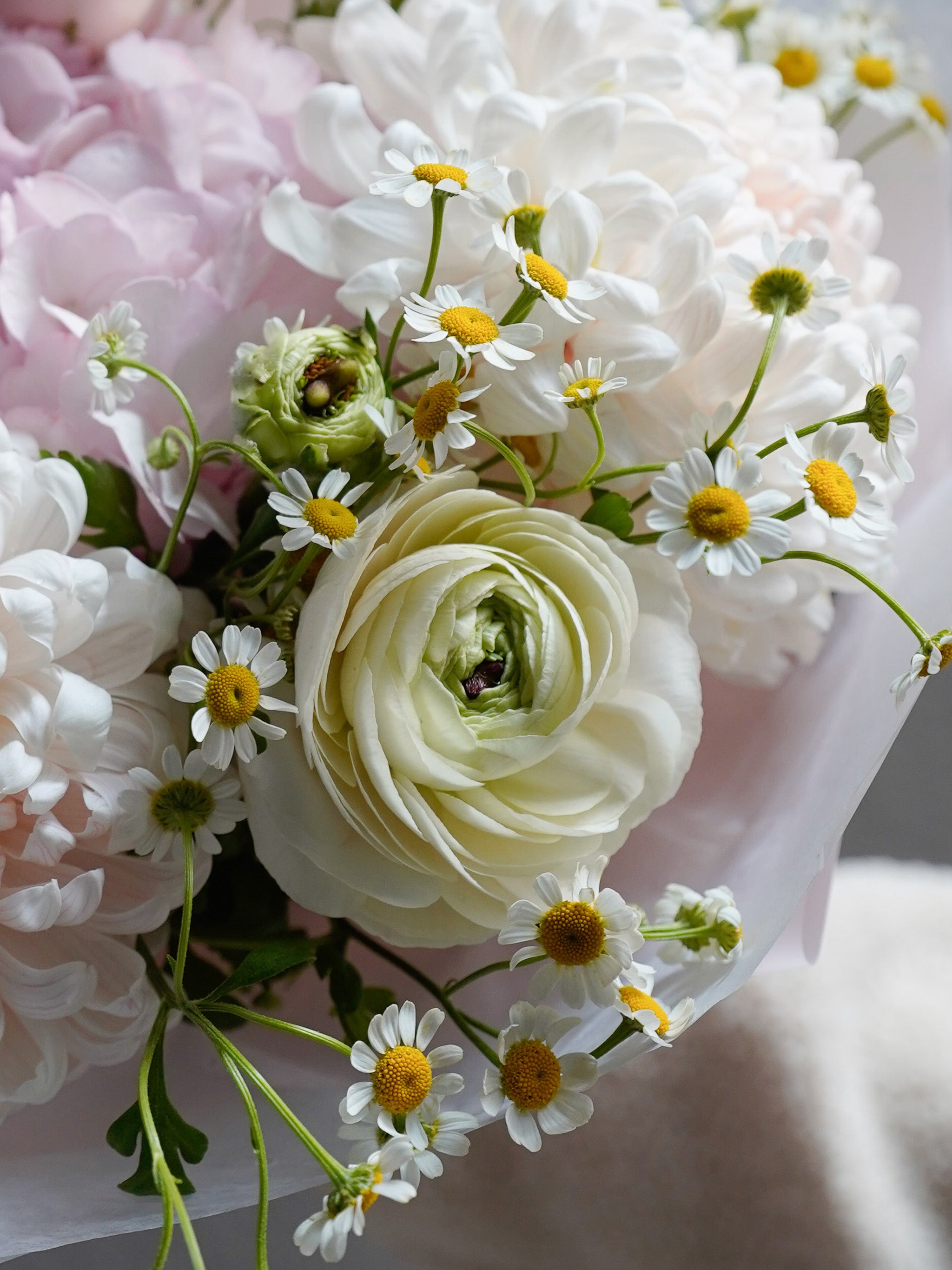 Blush Spring