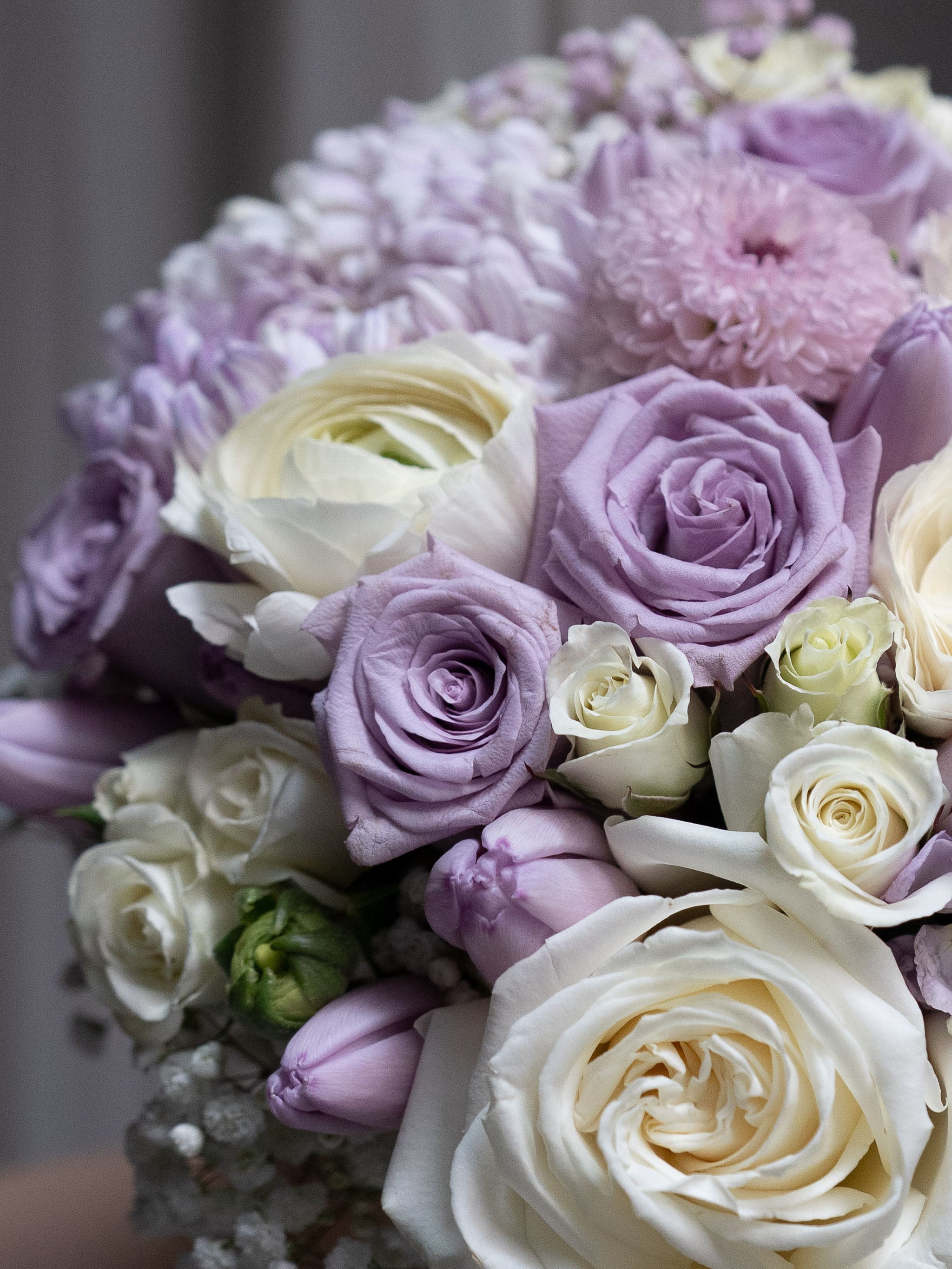Lavender Pearl