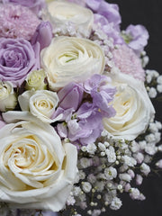 Lavender Pearl