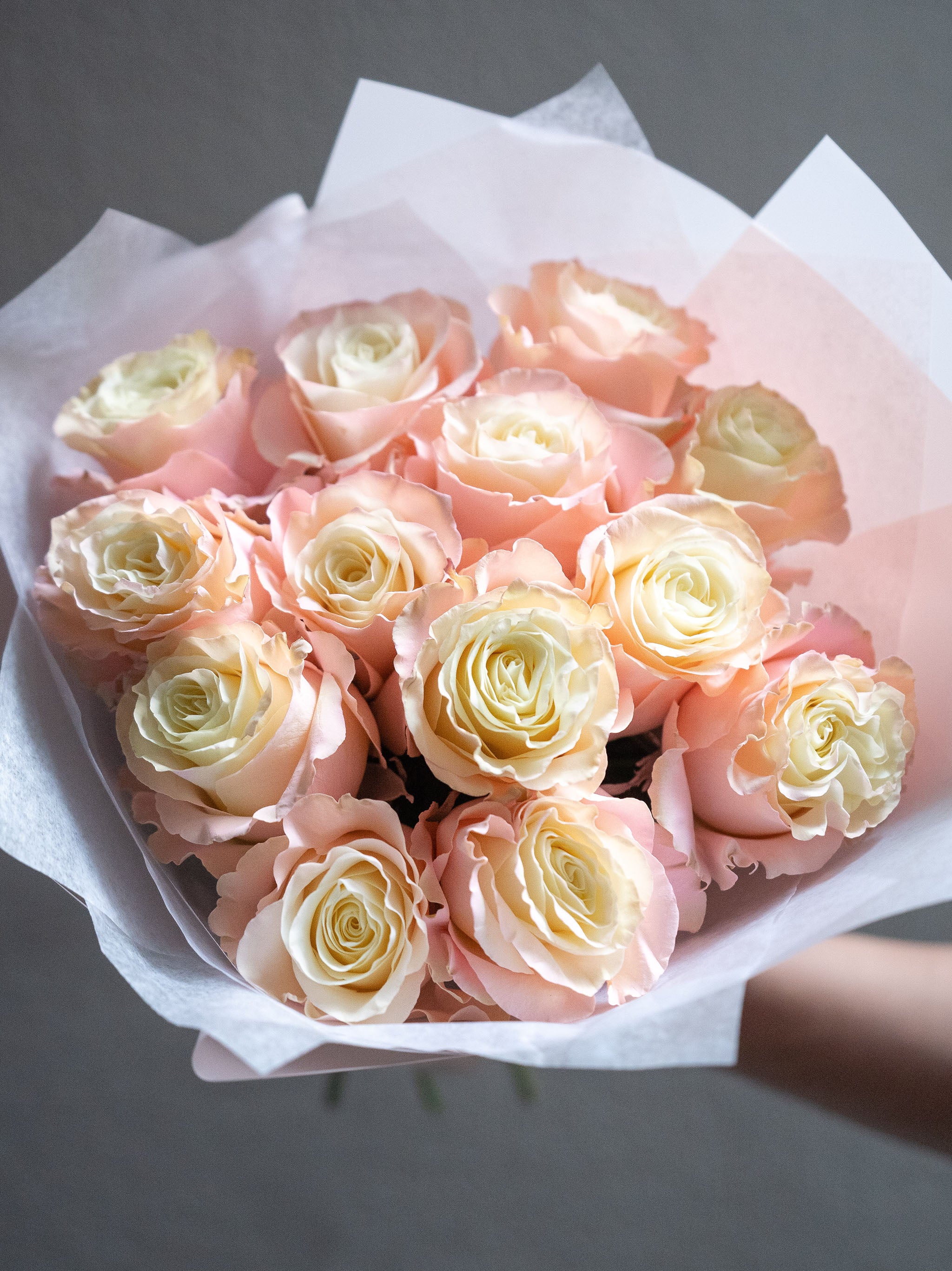 Petal Mirage