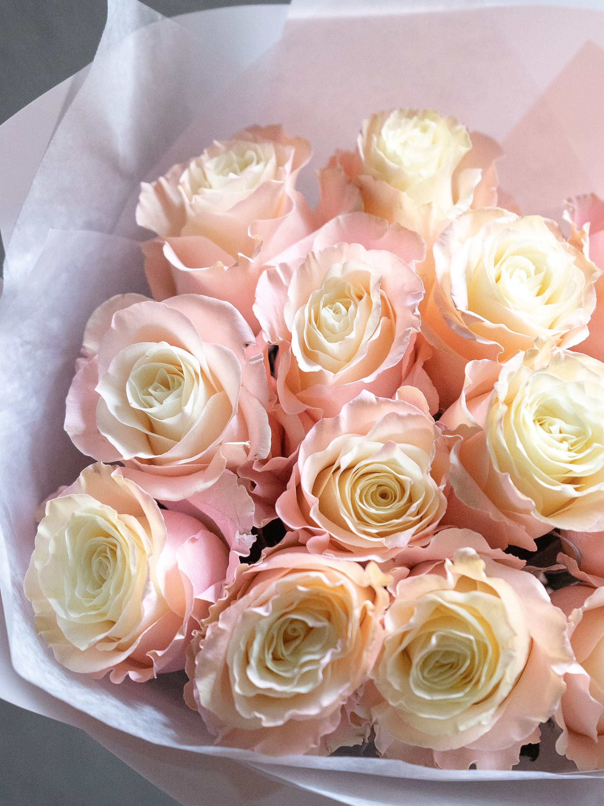Petal Mirage