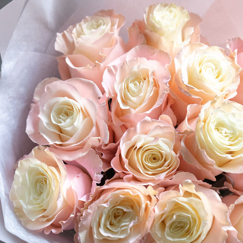 Tinted Rose