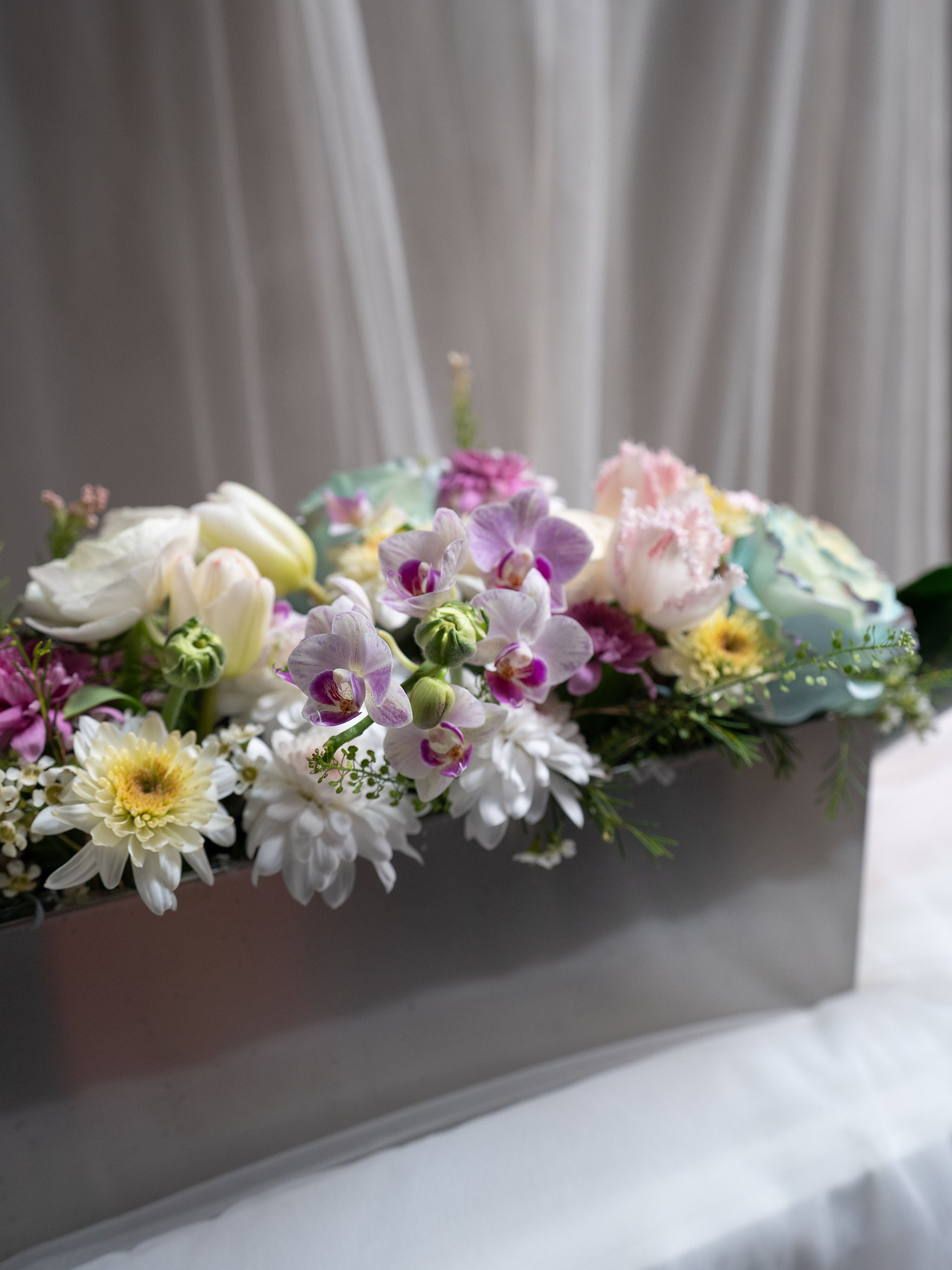Tender Blooms