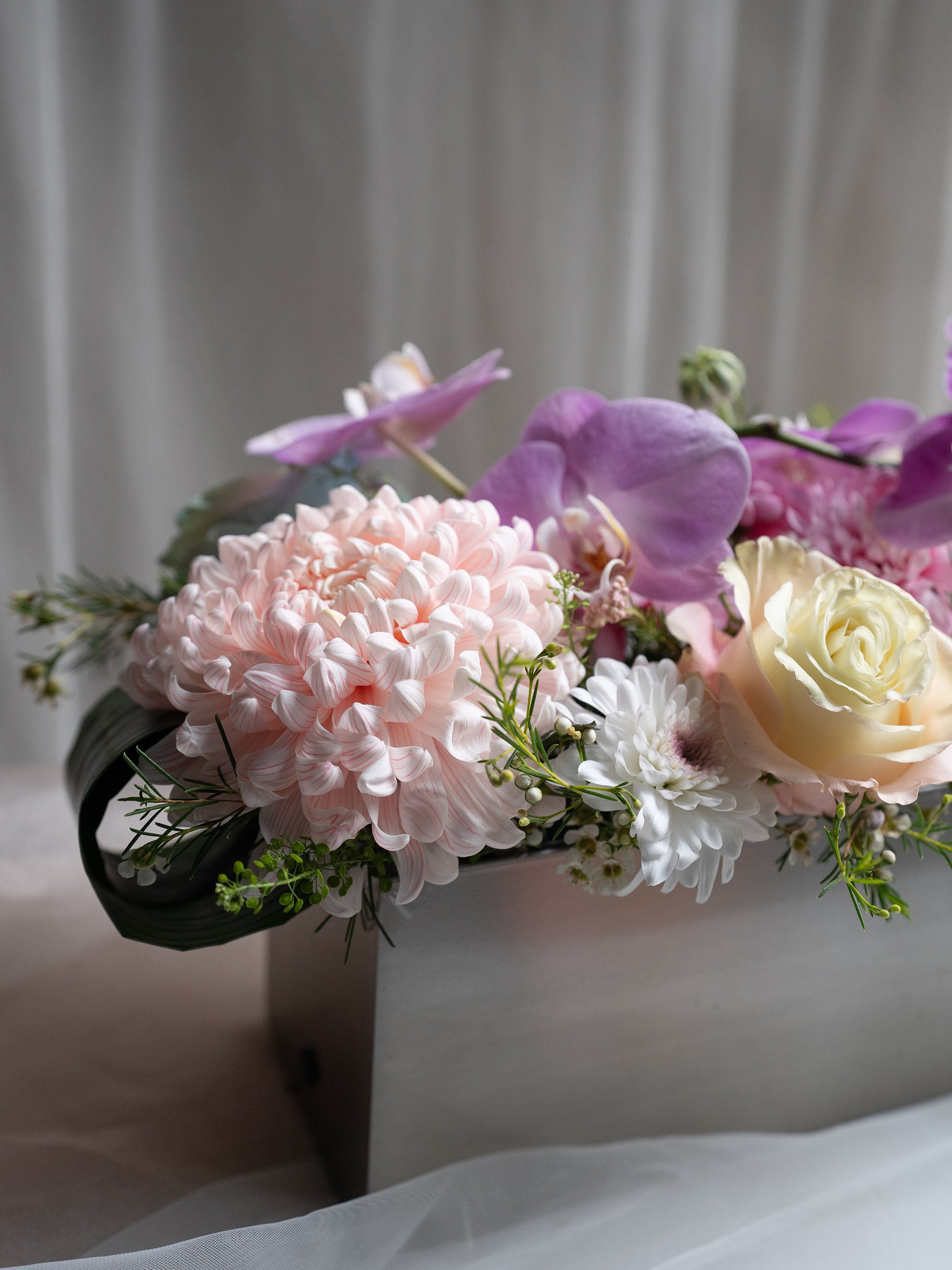 Tender Blooms