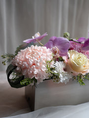 Tender Blooms