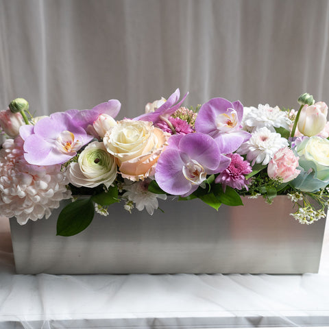 Tender Blooms