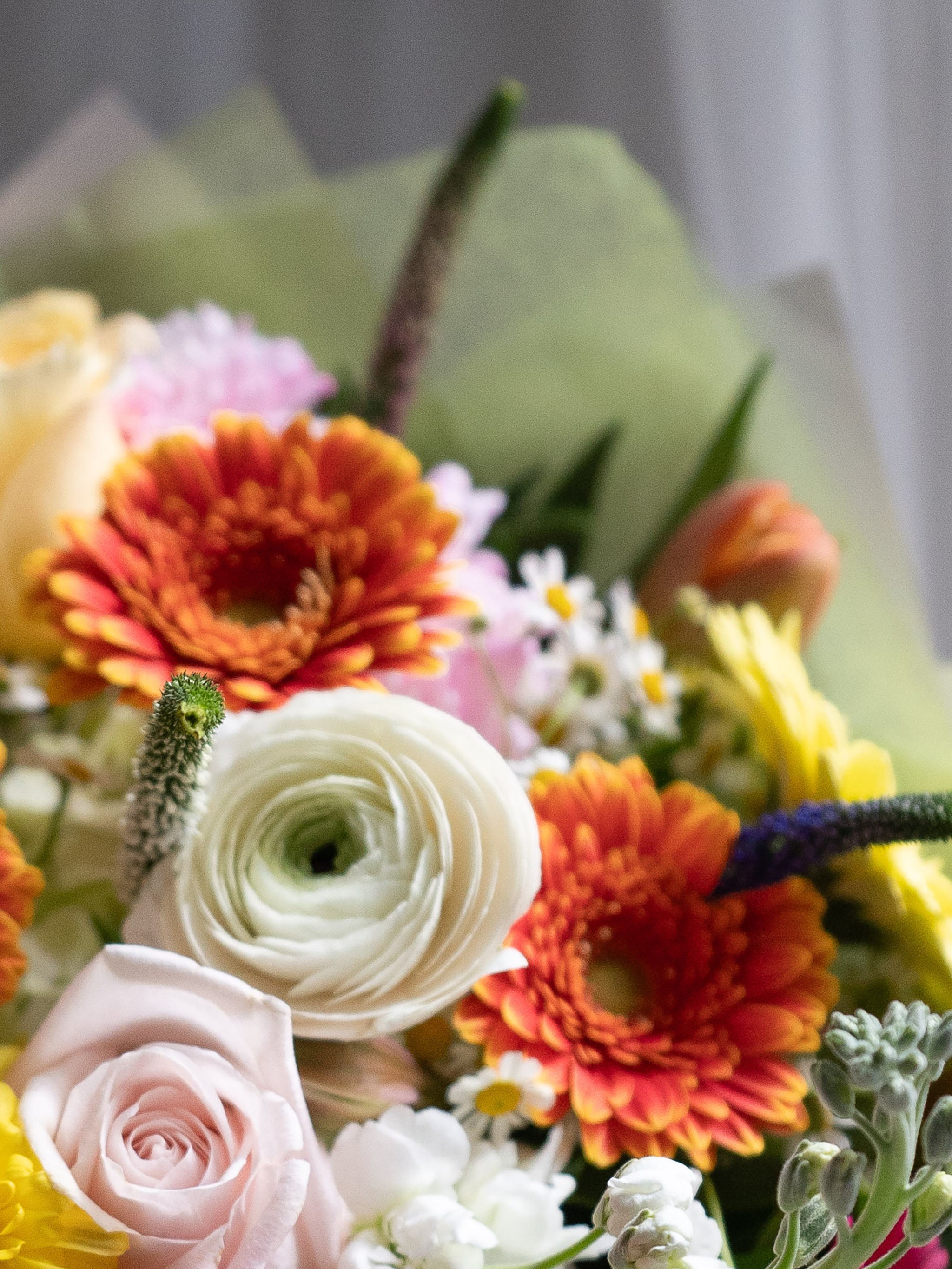 Bad Unity Flower Photo Bold Unity - Flower & Plant Free Delivery | Toronto Flower Shop ...