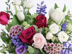 [MD] Sweet Spring