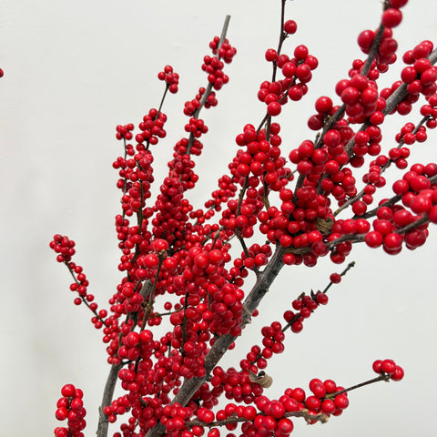 Winter Berry