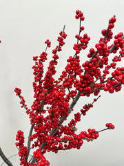 Winter Berry