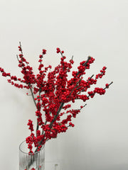 Winter Berry