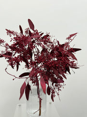 Seeded eucalyptus (colour-died)