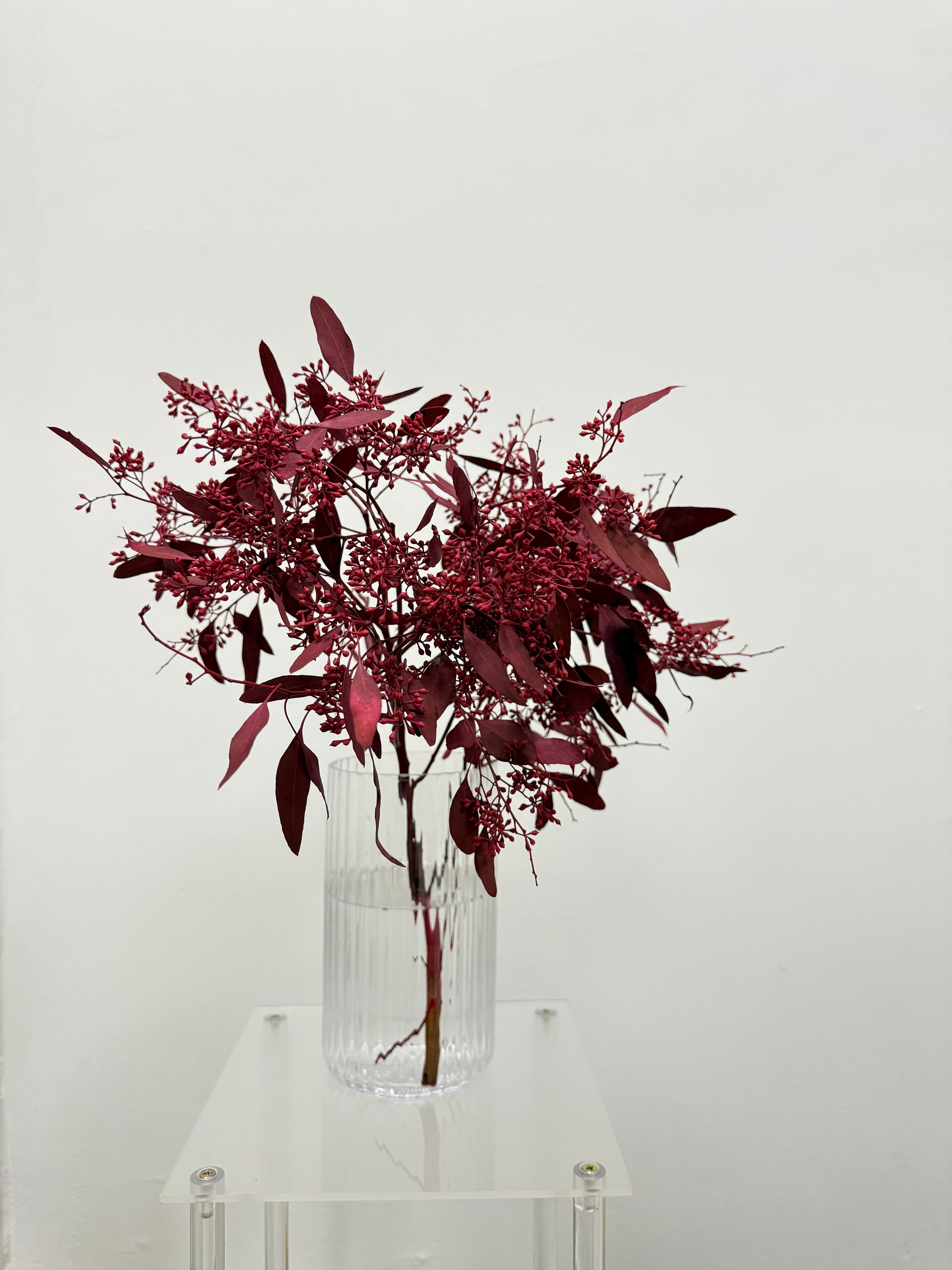 Seeded eucalyptus (colour-died)