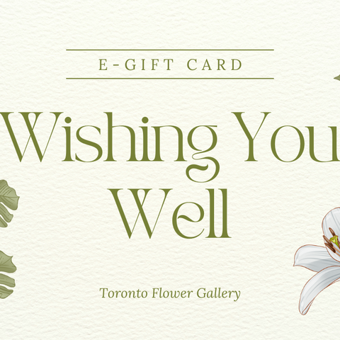 eGift Card - Get Well