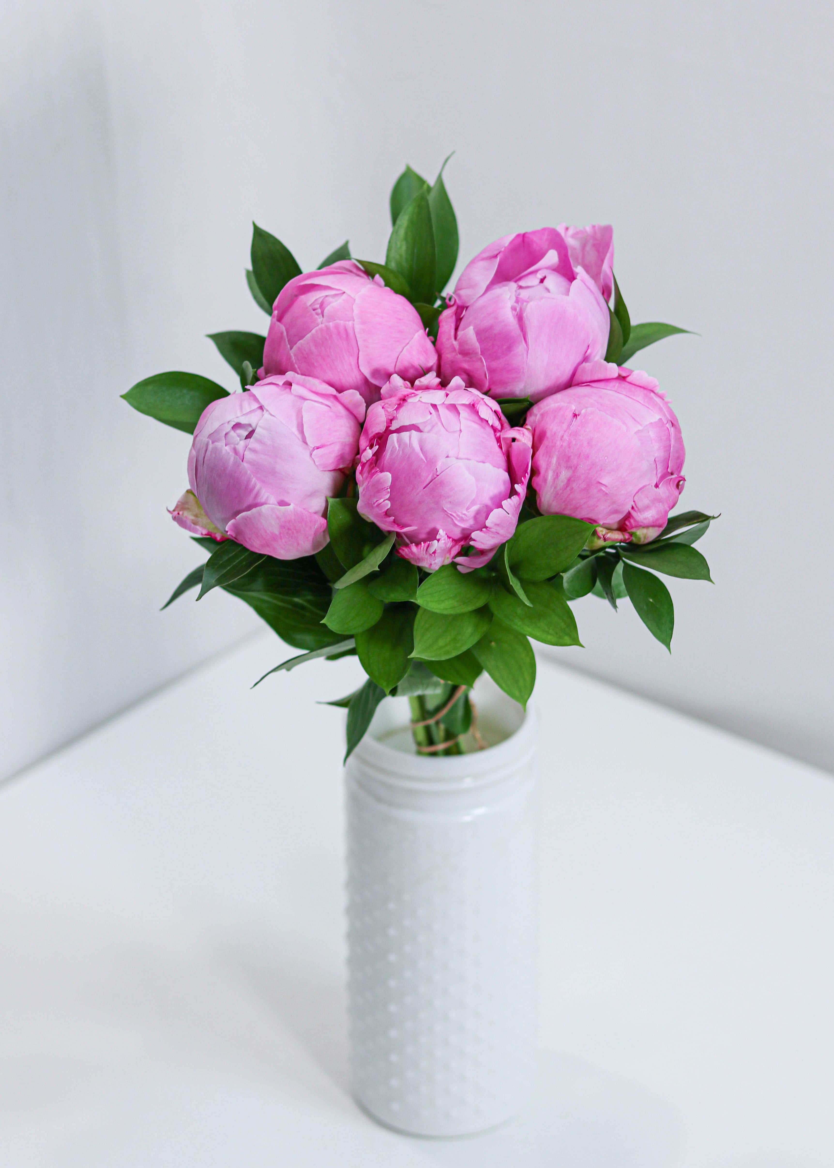 Pink Peony