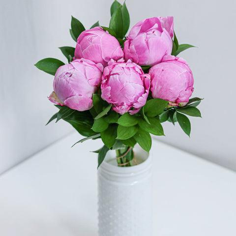 Hot Pink Peony