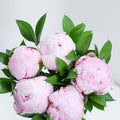 Blush pink