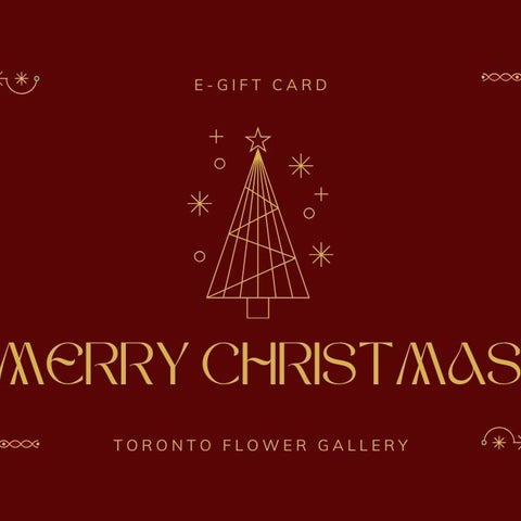 eGift Card - Merry Christmas