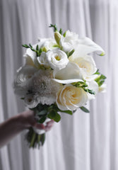 Ivory Grace