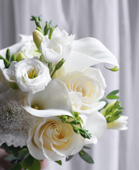 Ivory Grace
