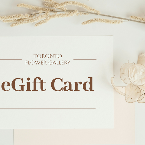 eGift Card Basic