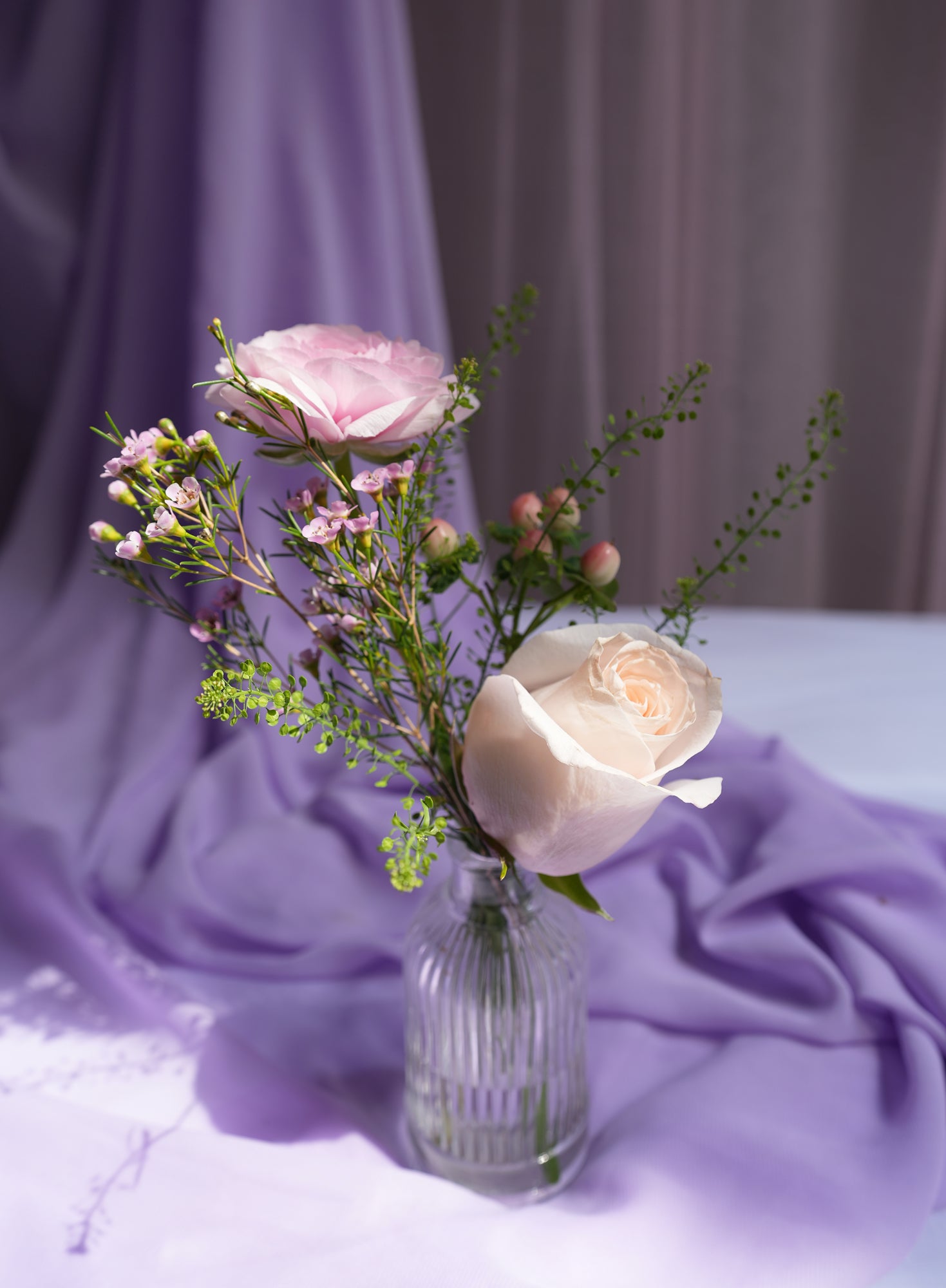 Quiet Rose Moment