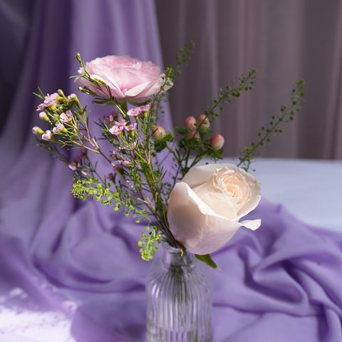 Quiet Rose Moment
