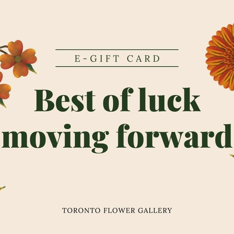 eGift Card - Next Chapter