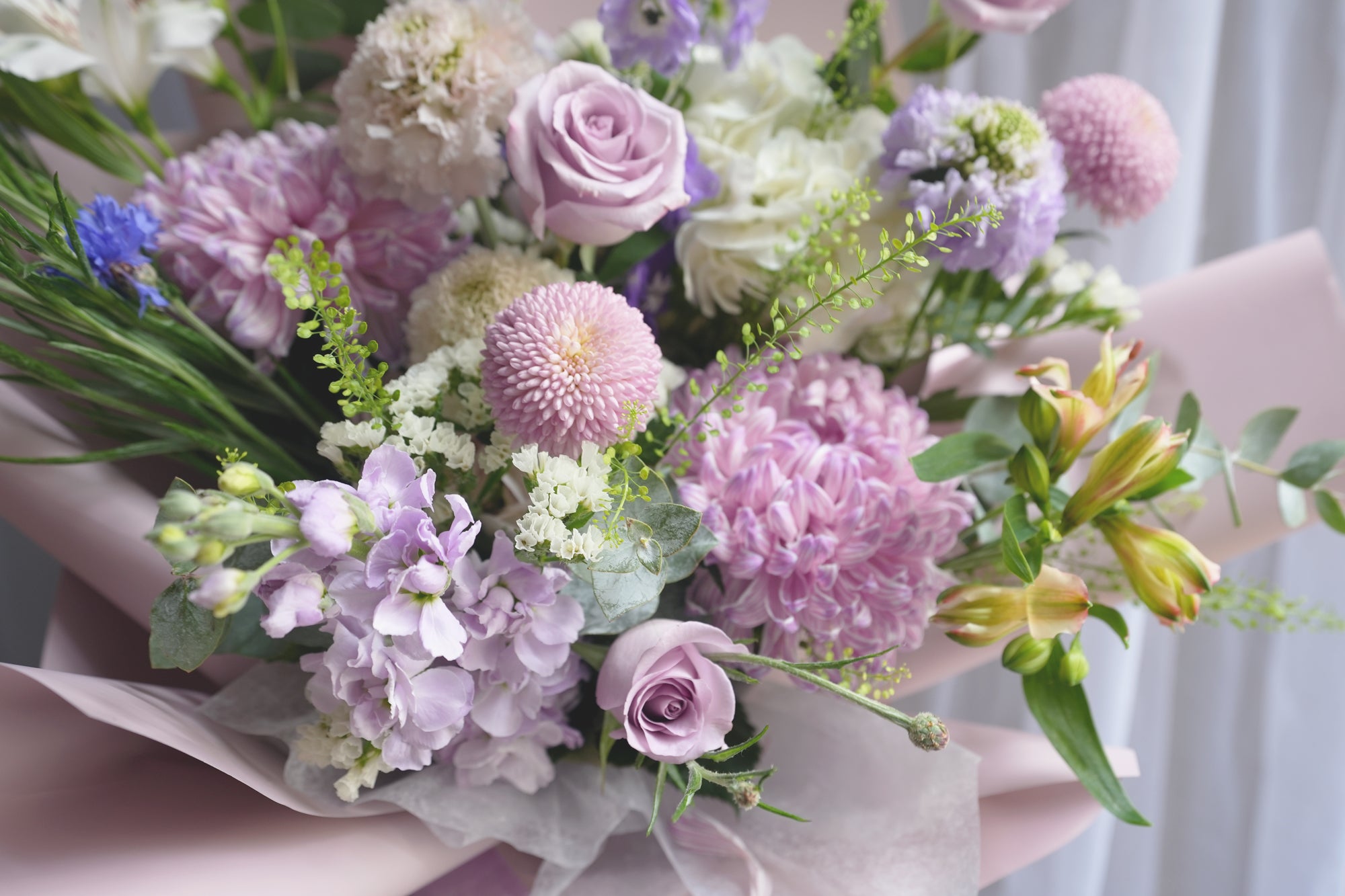 Violet Atelier
