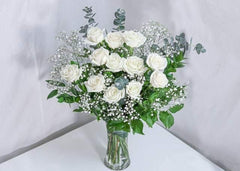 [VD] 12 White Roses