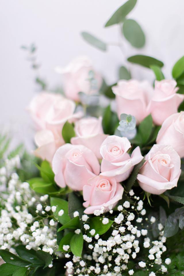 Pink Roses with Baby's Breath - Toronto Flower Gallery