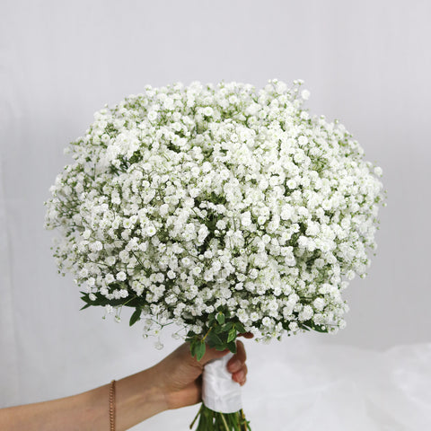 Baby's Breath Bridal Bouquet