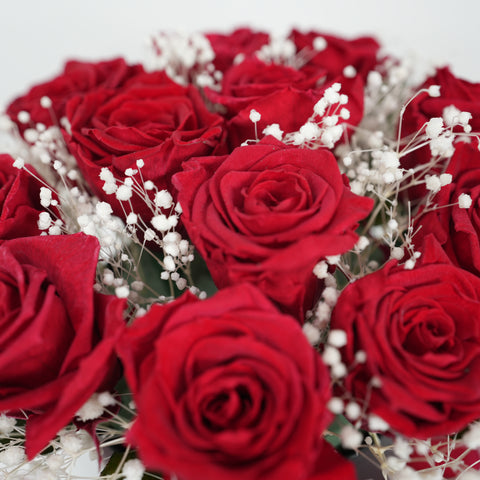 12 Red Preserved Rose Round Box