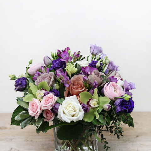 Spring Surprise