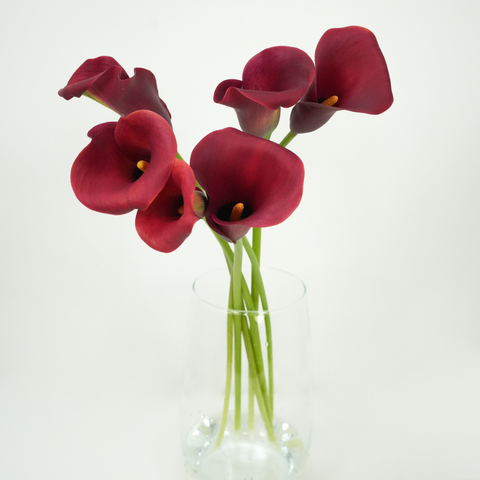 Mini Calla Lily
