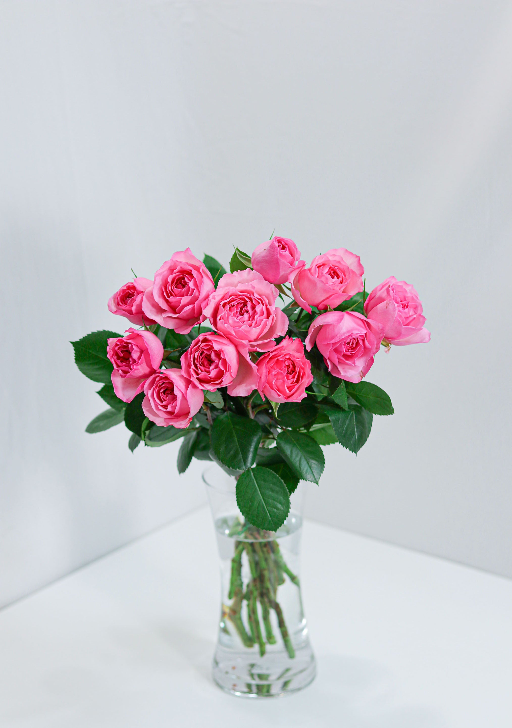 Rose - Flower & Plant Free Delivery  Toronto Flower Shop – Toronto Flower  Gallery