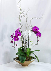 Purple White Mixed Orchid Design - Toronto Flower Gallery