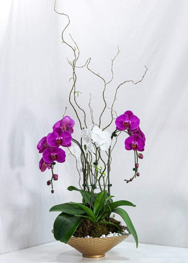 Purple White Mixed Orchid Design - Toronto Flower Gallery